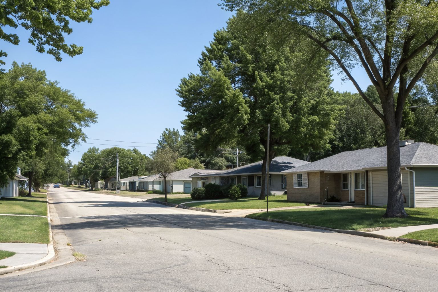 A quiet street of 1960s ranch homes with low gray shingle roofs and mature maples